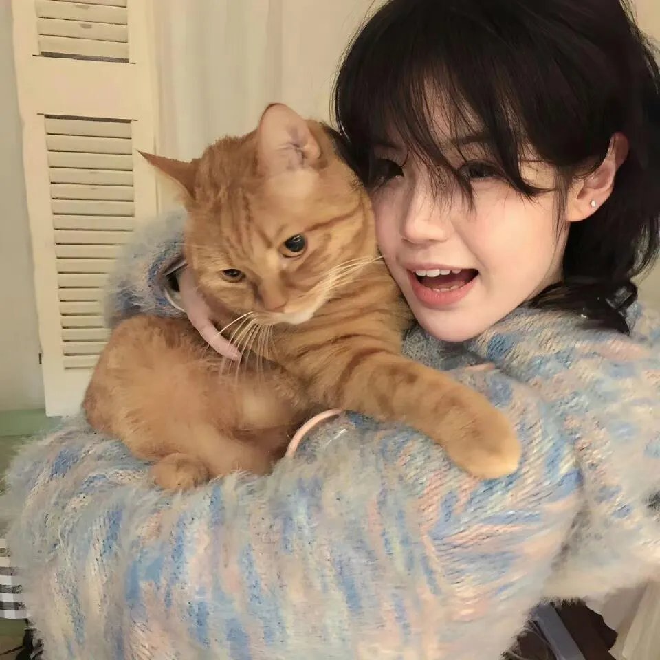 兰卡斯特的最后一次飞行